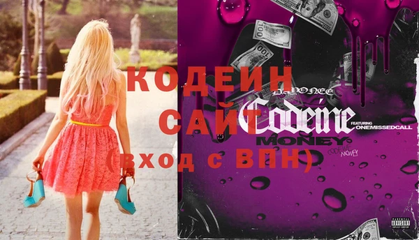 гидра Каменногорск