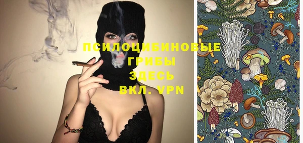 стафф Кинешма