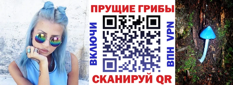 Псилоцибиновые грибы прущие грибы  цены наркотик  Кемь 